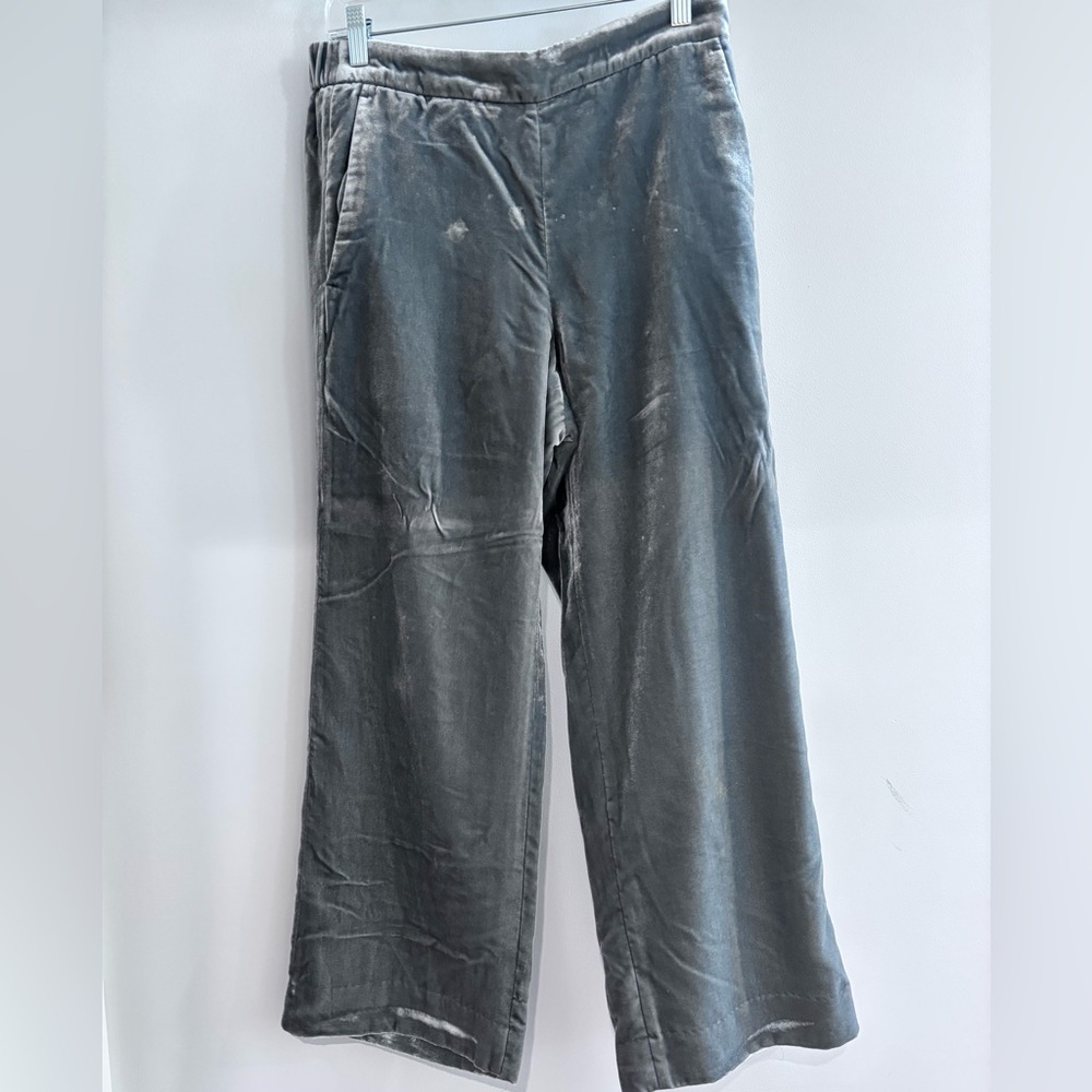 J. Crew Women's Blue/Gray Velvet Pants